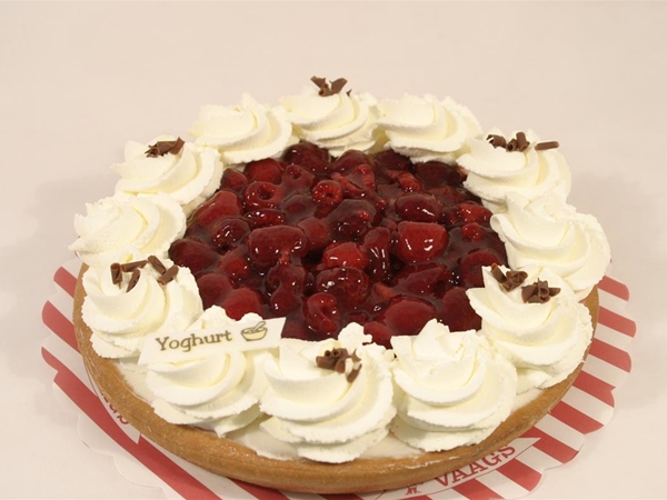yoghurtframbozenvlaai